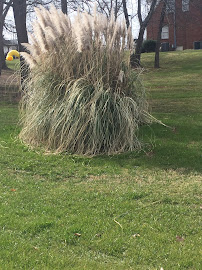 Fortune landscaping - Photo 7 - Car repair in Rural Hall, NC, Winston-Salem