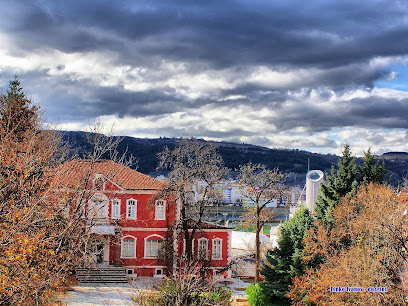 History Museum