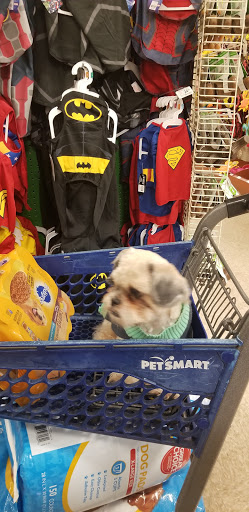 Pet Supply Store «PetSmart», reviews and photos, 19175 Lyndon B Johnson Fwy, Mesquite, TX 75150, USA