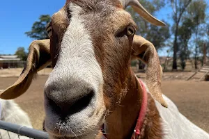 Goat Lady Farms image