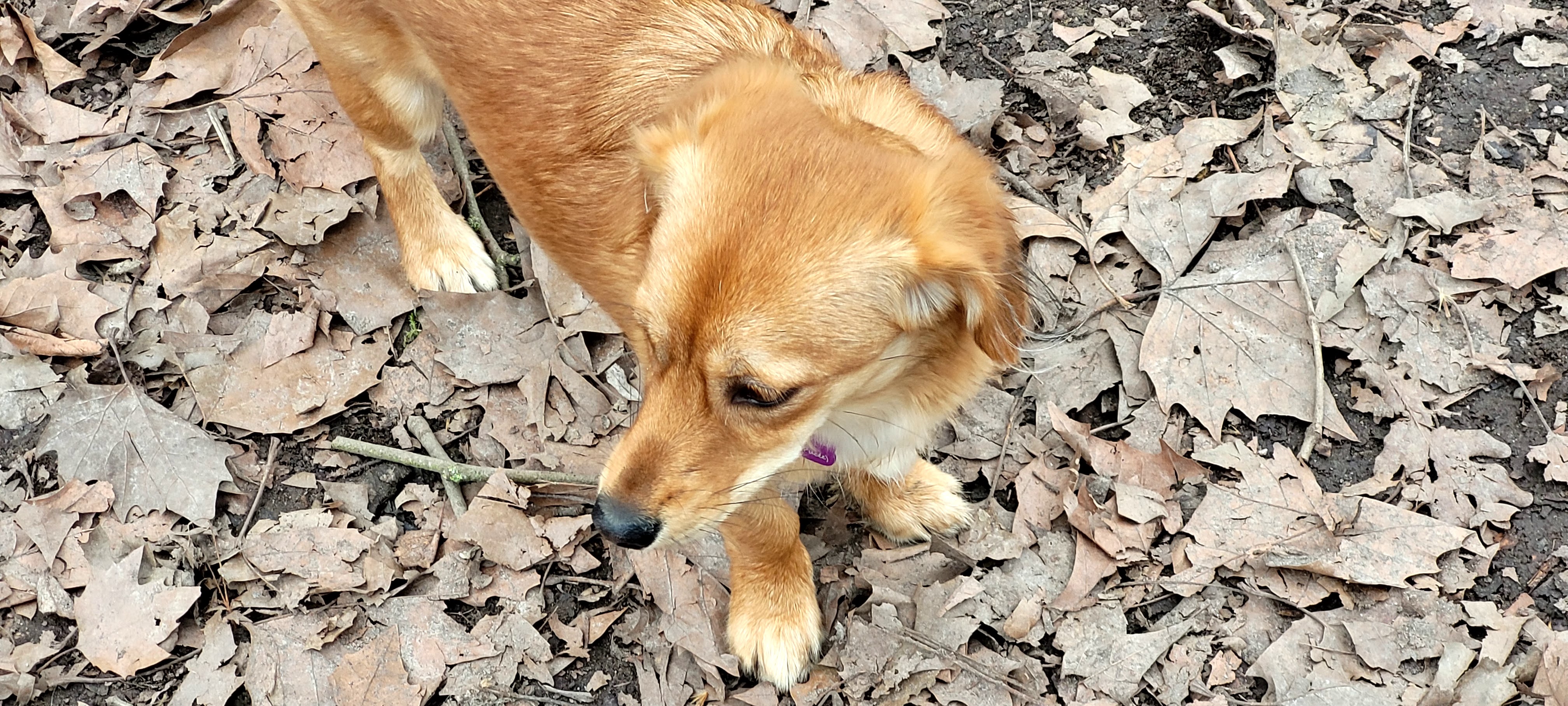 Photo n° 3 de l'avis de christine.e fait le 26/02/2023 à 17:23