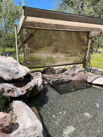Gila Hot Springs and Campground