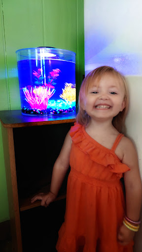 Tropical Fish Store «Belpre Aquarium & Pet Shop», reviews and photos, 1806 Washington Blvd, Belpre, OH 45714, USA