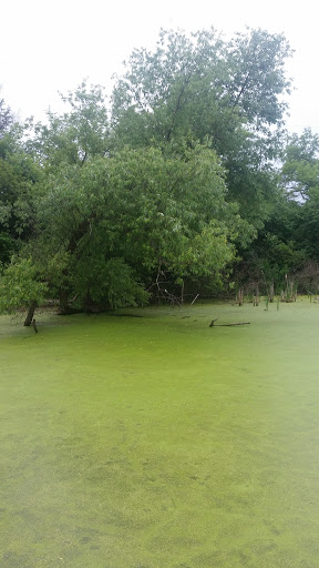 Nature Preserve «Lincoln Marsh», reviews and photos, Harrison Ave & Pierce Ave, Wheaton, IL 60187, USA