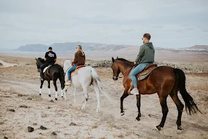 Paseos a Caballo en Lanzarote - Horse Experience image