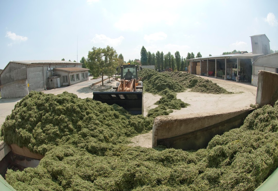 Azienda Agricola Il Vallone Nella Citta Argenta