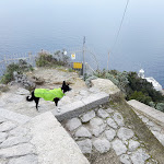 Photo n°2 de l'avis de Ischia.a fait le 11/01/2023 à 21:06 sur le  Phare de Punta Imperatore à Forio