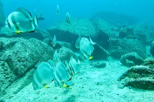 Dive Resort Seychelles image