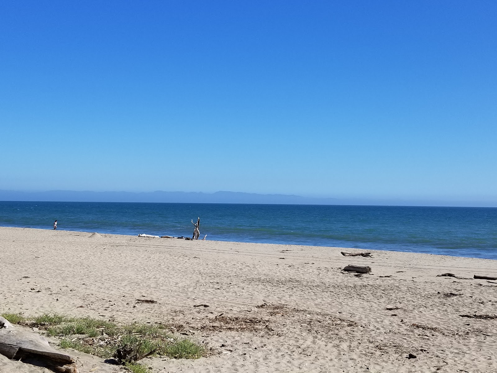 Foto af Seacliff Beach - populært sted blandt afslapningskendere