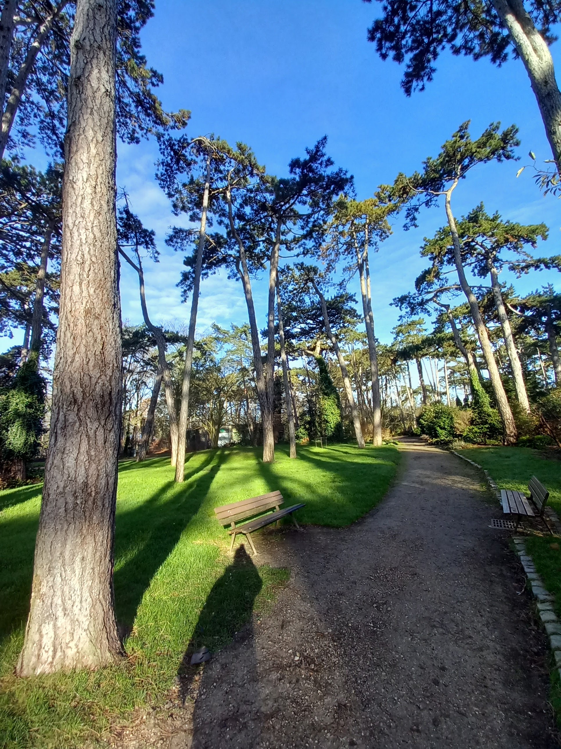 Photo n° 10 de l'avis de Loïc.o fait le 28/01/2024 à 20:24