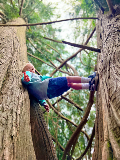 Park «N. Creek Park», reviews and photos, 1011 183rd St SE, Bothell, WA 98012, USA