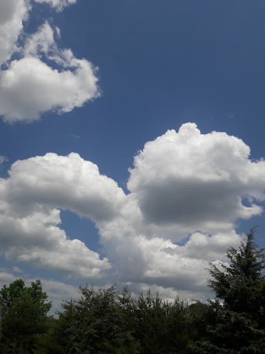 Auto Parts Store «AutoZone», reviews and photos, 3900 Salem Rd, Covington, GA 30016, USA