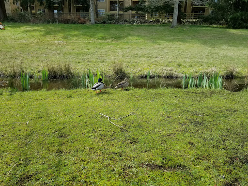 Public Golf Course «Walter Hall Golf Course», reviews and photos, 1226 W Casino Rd, Everett, WA 98204, USA