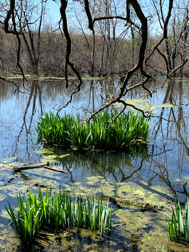 Nature Preserve «Crabtree Nature Center», reviews and photos, 3 Stover Rd, Barrington, IL 60010, USA