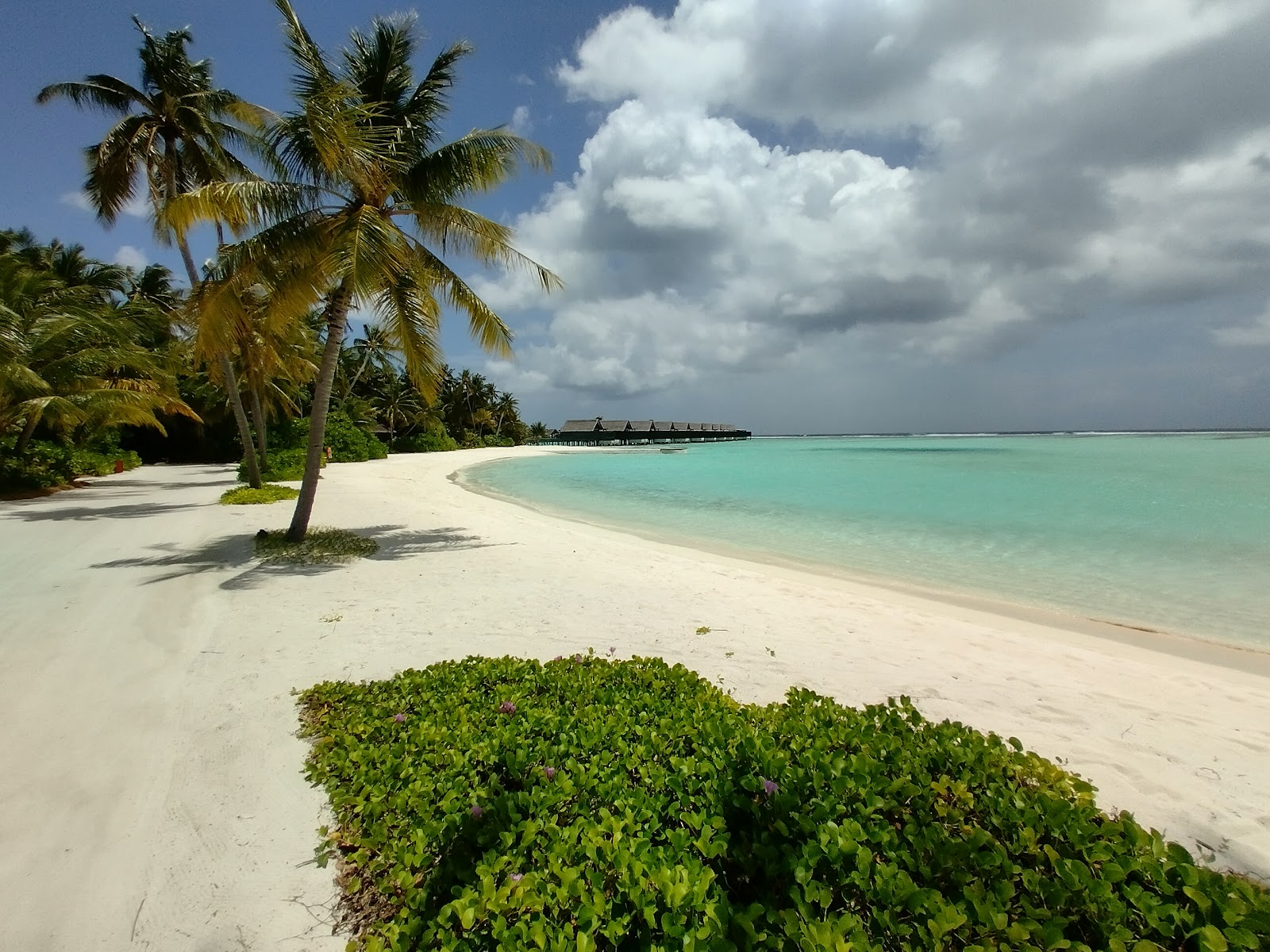 Niyama Resort Beach'in fotoğrafı - rahatlamayı sevenler arasında popüler bir yer