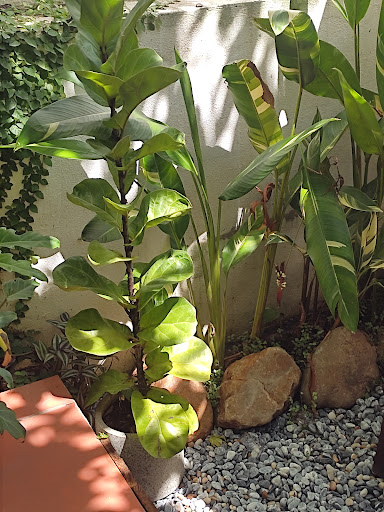 Top 20 quán cafe cho trẻ em Huyện Vĩnh Bảo Hải Phòng 2022