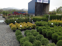 Pine Ridge Nursery & Landscaping, Inc. - Photo 2 - Car repair in Salem, VA, Roanoke