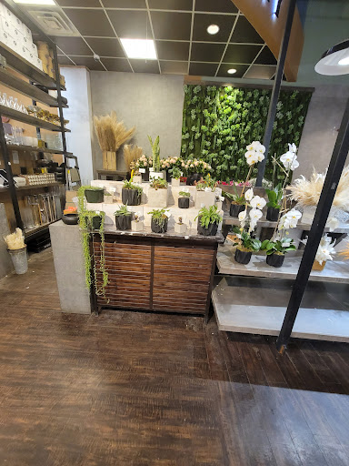 Kosher Grocery Store «Evergreen Kosher Market», reviews and photos, 59 NY-59, Monsey, NY 10952, USA