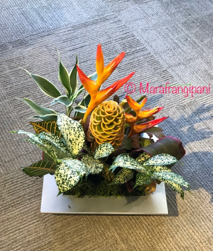 Florist «Frangipani Flowers & Gifts», reviews and photos, 1203 4th St, San Rafael, CA 94901, USA