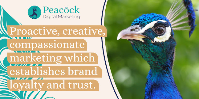 Reviews of Peacock Digital Marketing in Stoke-on-Trent - Advertising agency