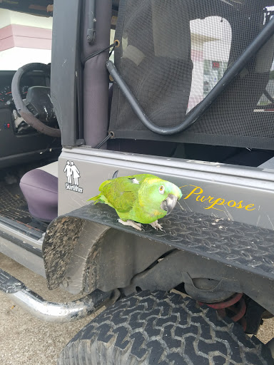 Adult Entertainment Store «Katz Stores - Tomball», reviews and photos, 27646 TX-249, Tomball, TX 77375, USA