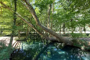 Parc de la Poya image