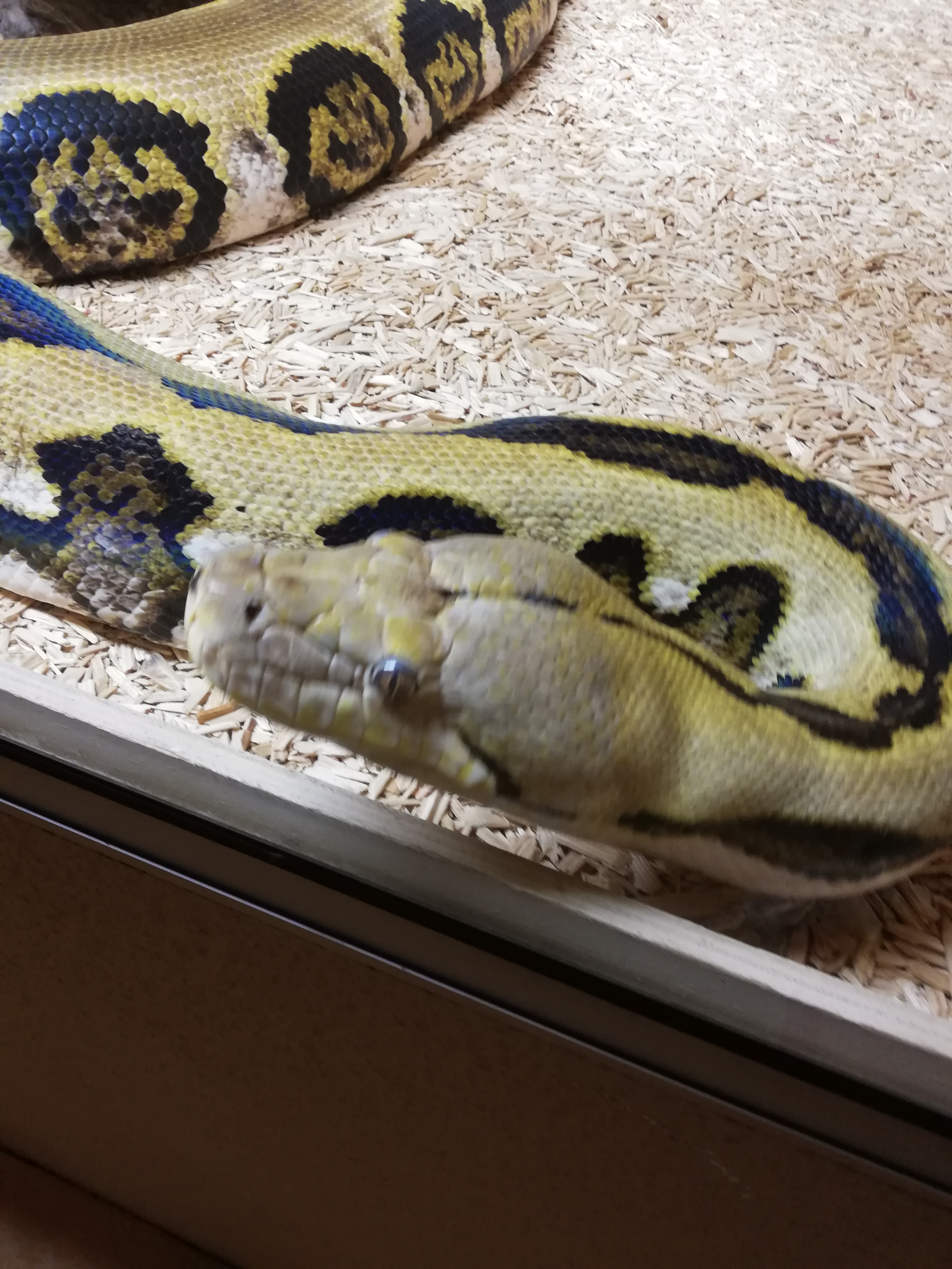 Photo n° 4 de l'avis de Marcel.a fait le 26/07/2020 à 10:05