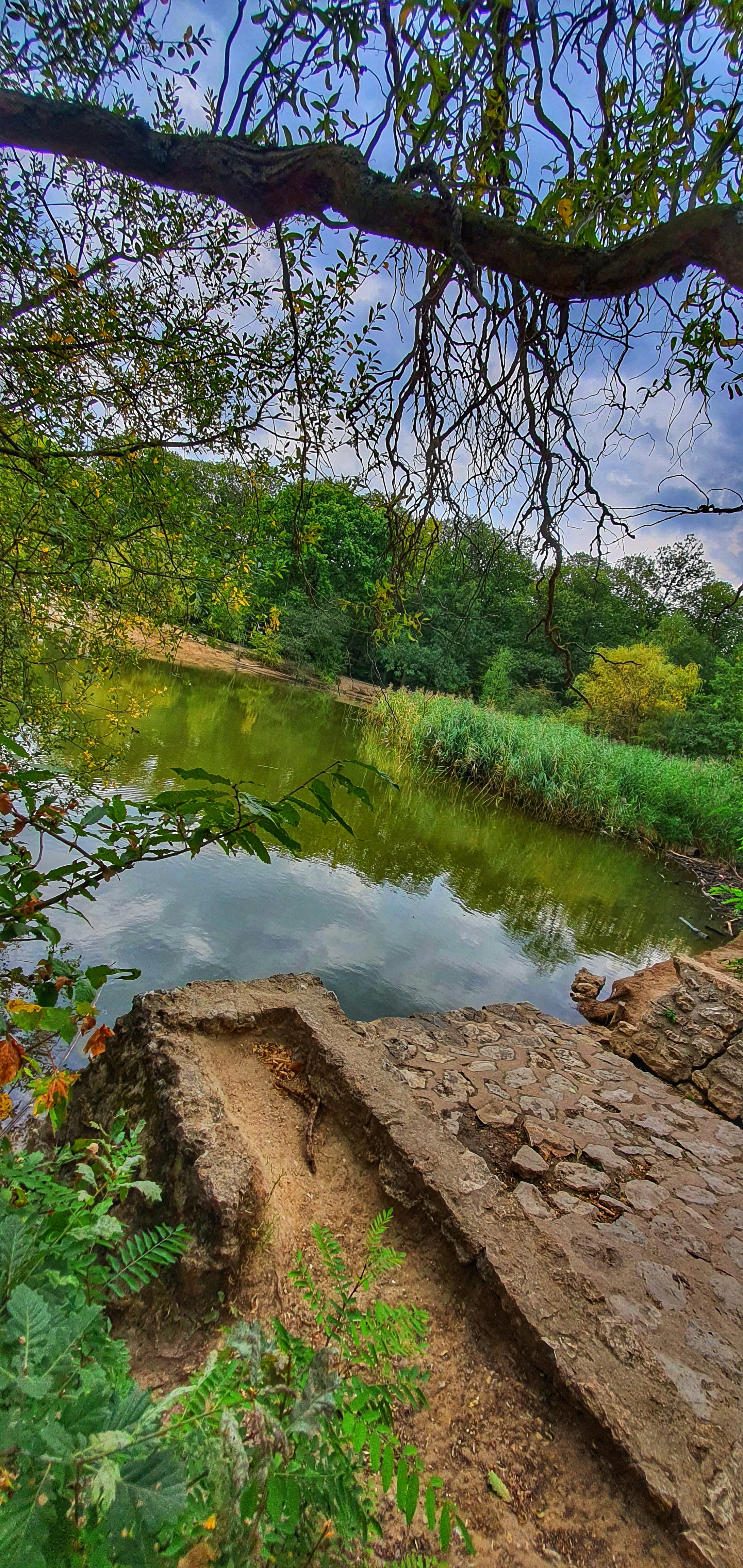 Photo n° 1 de l'avis de vincent.A fait le 22/09/2020 à 18:48