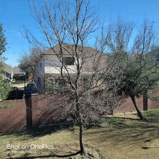 Tourist Attraction «Giant Eyeball», reviews and photos, 1601 Main St, Dallas, TX 75201, USA