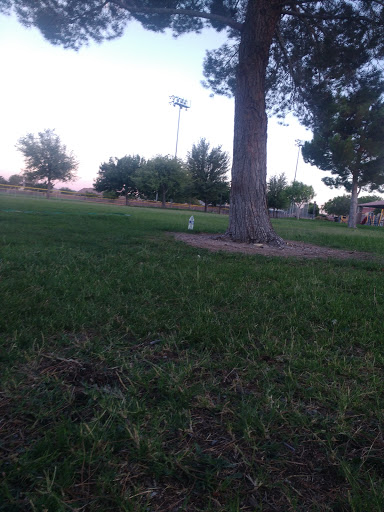 Park «Goynes Park», reviews and photos, 3909 W Washburn Rd, North Las Vegas, NV 89031, USA
