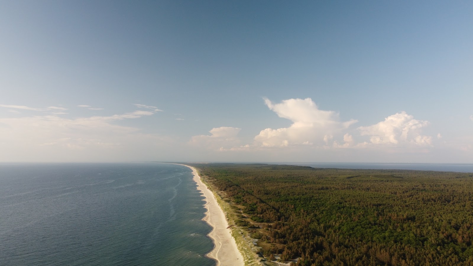 Photo of Skruzdynas Beach located in natural area