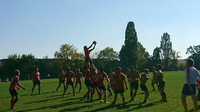 Rezensionen über Rugby Club Solothurn in Olten - Sportstätte