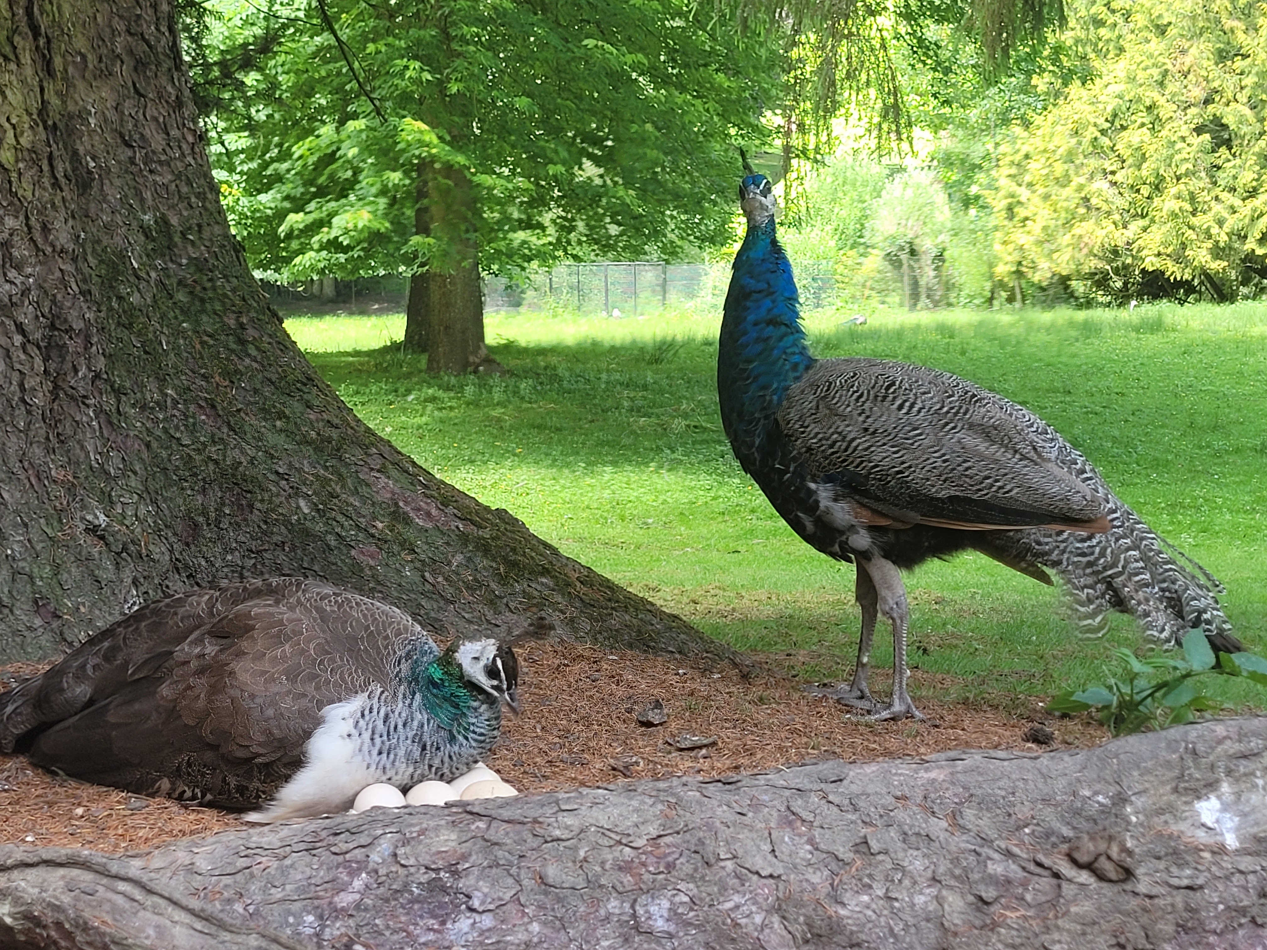 Photo n° 5 de l'avis de Vero.o fait le 14/06/2022 à 11:47