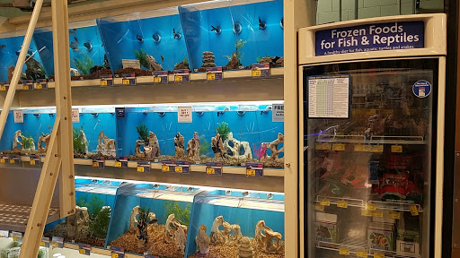 PetSmart image