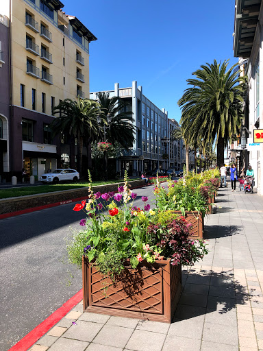 Patisserie «Cocola Bakery», reviews and photos, 333 Santana Row #1045, San Jose, CA 95128, USA