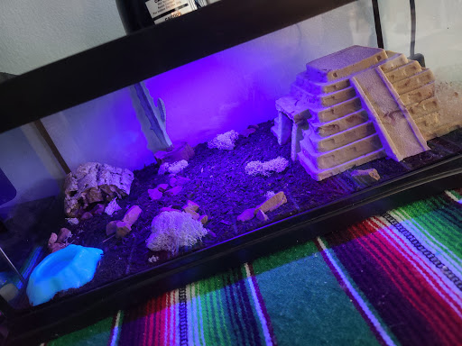 Pet Supply Store «Petco Animal Supplies», reviews and photos, 3525 W Victory Blvd, Burbank, CA 91505, USA