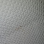 Photo n°3 de l'avis de J. fait le 05/06/2022 à 05:17 sur le  Hotel-Restaurant Leander à Bitburg