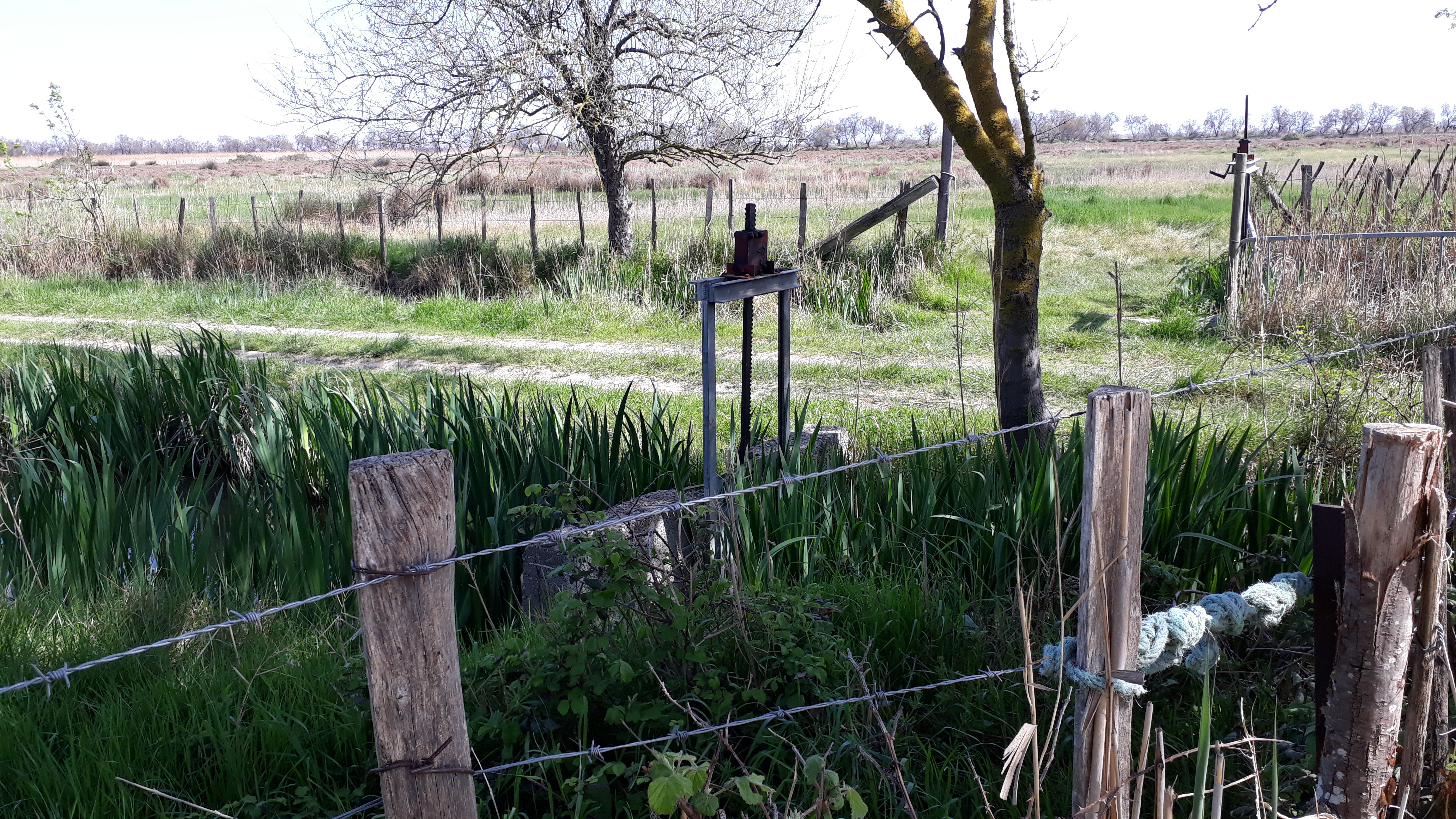 Photo n° 36 de l'avis de Cassandra.i fait le 17/03/2019 à 16:00