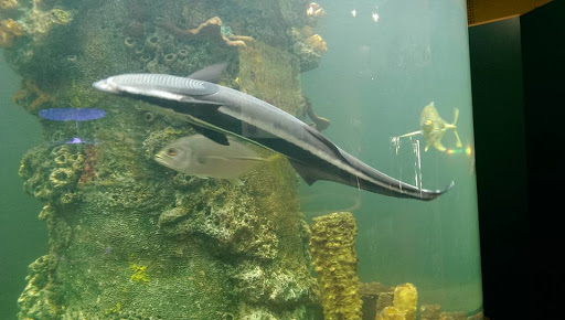 Canoe & Kayak Rental Service «Canoe Outfitters of Florida», reviews and photos, 9060 W Indiantown Rd, Jupiter, FL 33478, USA