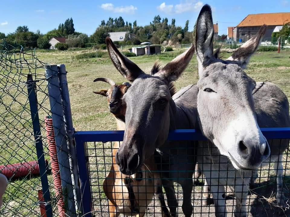 Photo n° 10 de l'avis de Jeremy.i fait le 01/09/2019 à 23:05