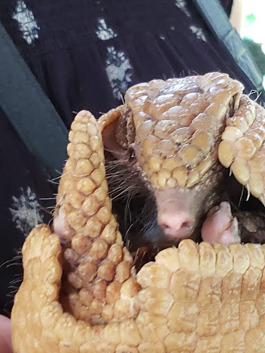 Zoo «Zoological Wildlife Foundation», reviews and photos, 16225 SW 172nd Ave, Miami, FL 33187, USA