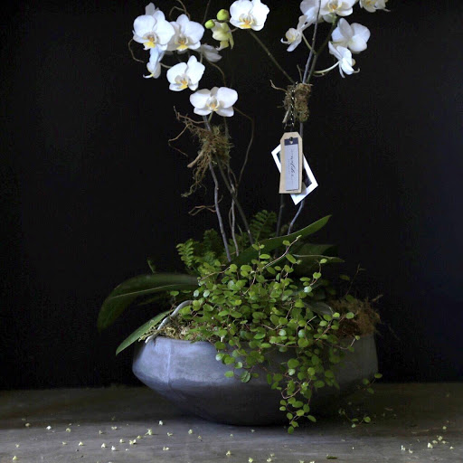 Florist «Wilder Floral Co.», reviews and photos, 1349 Chorro St, San Luis Obispo, CA 93401, USA