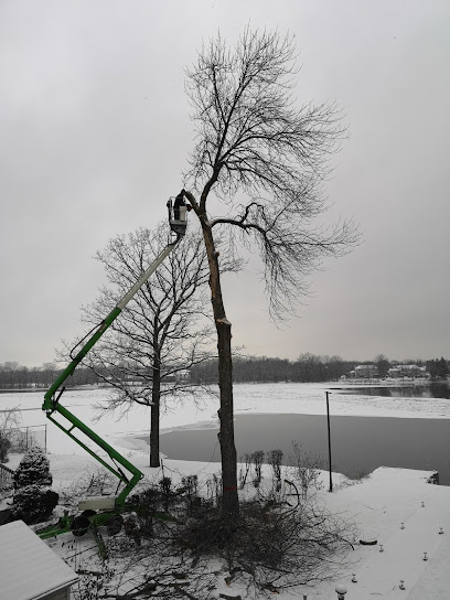TAS Tree Removal & Pruning