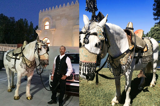 Carriage ride service Victorville