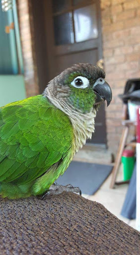 Hardware Store «Harlem Foster Hardware Inc.», reviews and photos, 7230 W Foster Ave, Chicago, IL 60656, USA