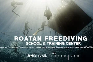 Roatan Freediving School & Training Center image