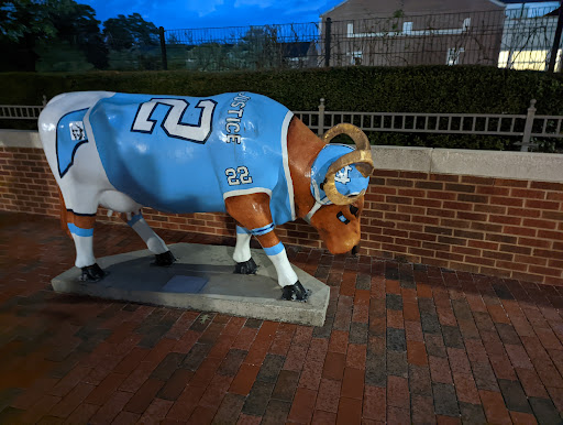 Stadium «Kenan Memorial Stadium», reviews and photos, Stadium Dr, Chapel Hill, NC 27514, USA