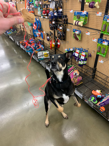 Pet Supply Store «Pet Supplies Plus», reviews and photos, 1155 Washington Pike, Bridgeville, PA 15017, USA