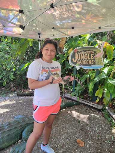 Zoo «Sarasota Jungle Gardens», reviews and photos, 3701 Bay Shore Rd, Sarasota, FL 34234, USA