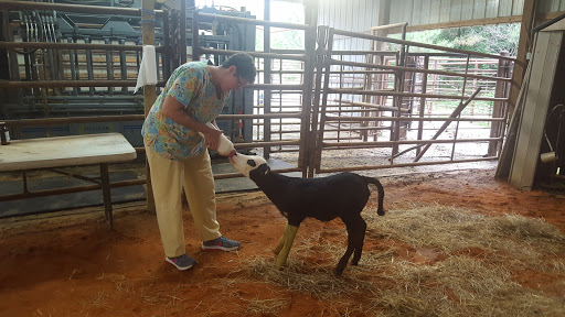Willow Bend Animal Clinic image